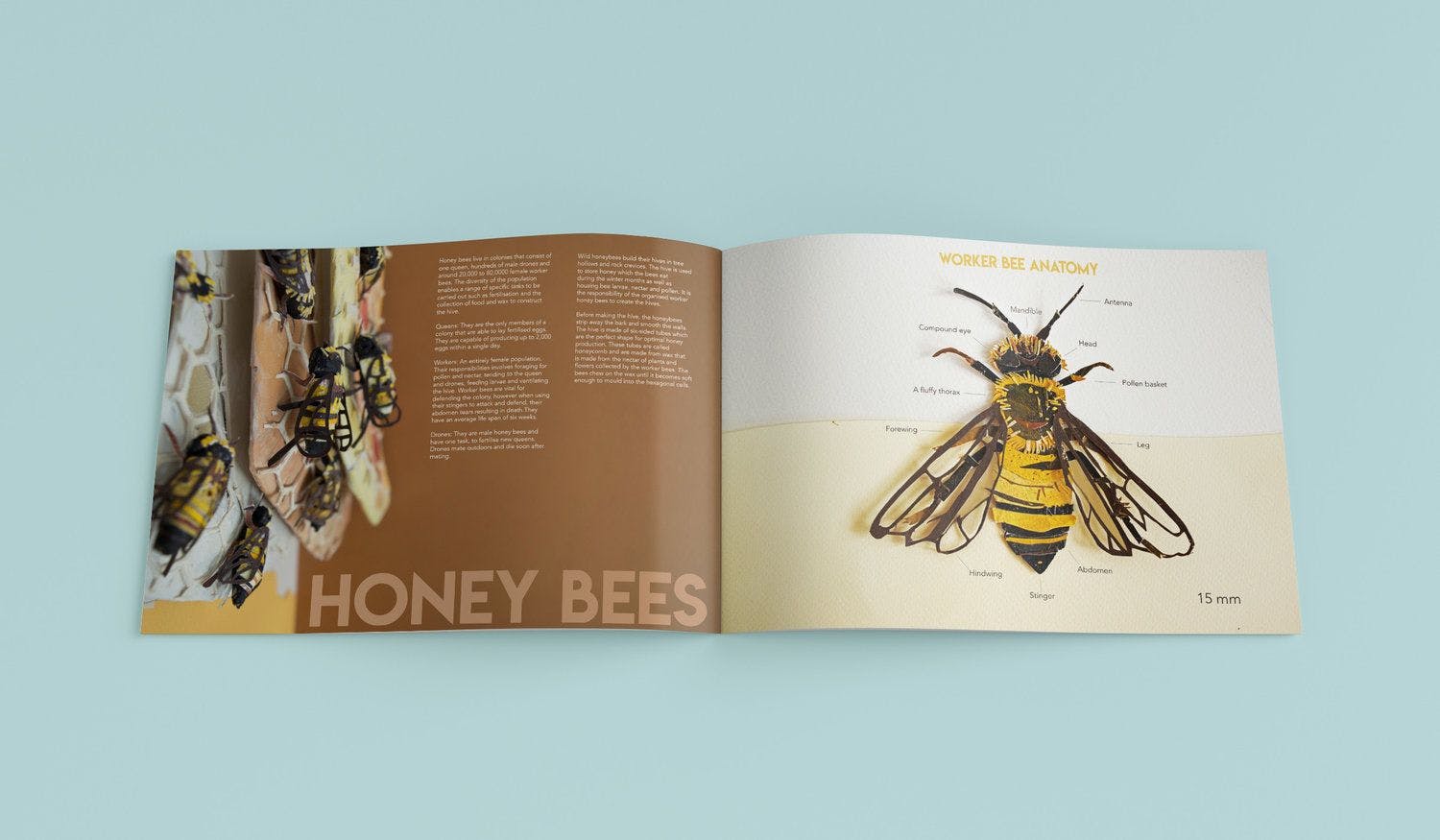 Bee Mag 7.jpeg
